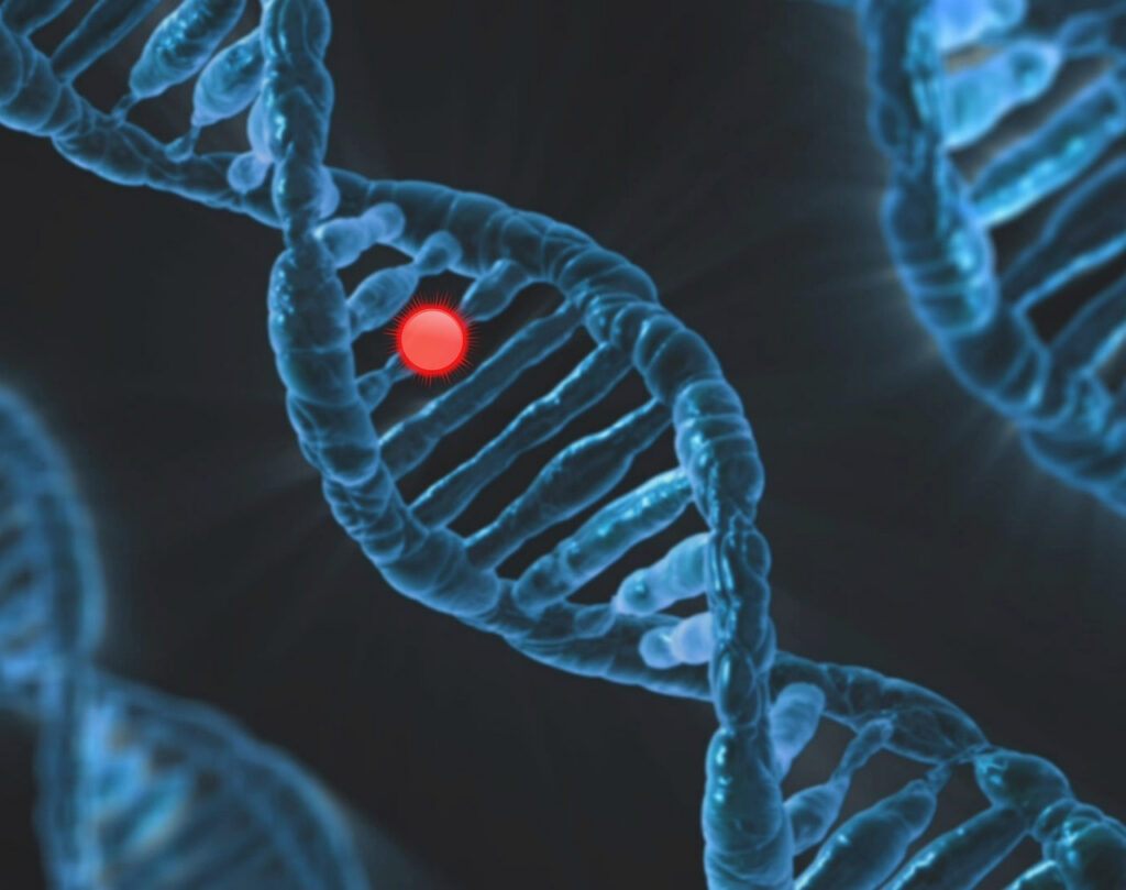 Chromosome