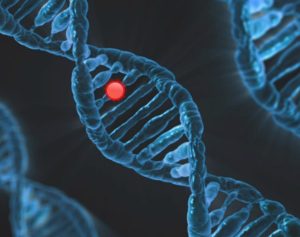 Chromosome