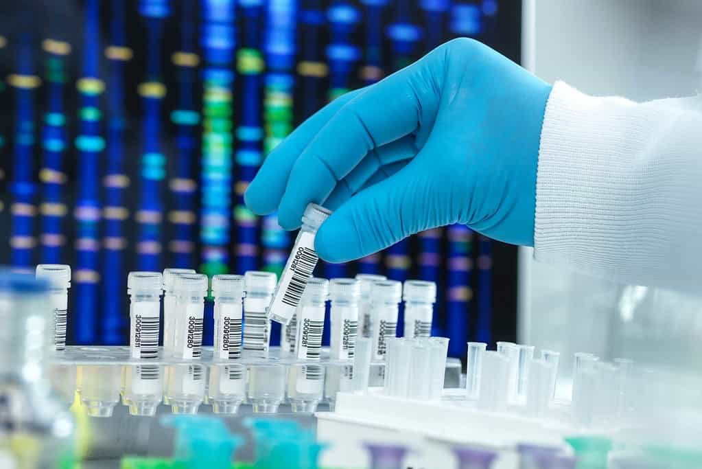 test adn en laboratoire analyse d’écouvillons