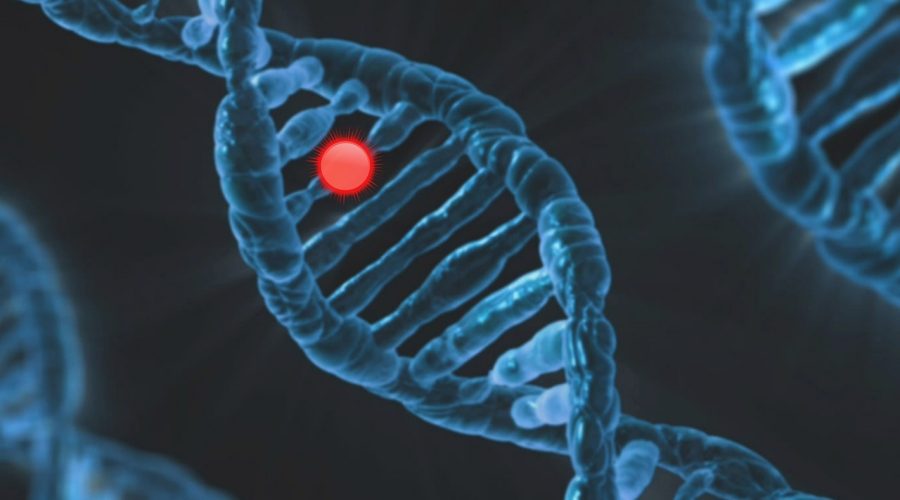 Chromosome