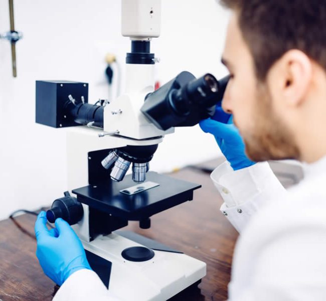 Notre laboratoire2